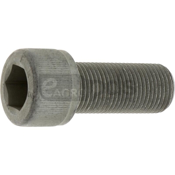 Surub - Vermeer [11052296]