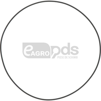 O ring - GRANIT [11418388]