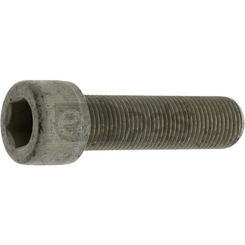 Surub - Vermeer [11559778]