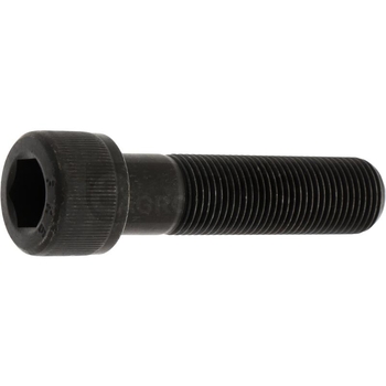 Surub - Vermeer [11671760]