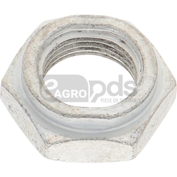 Piulita joasa - Carlton [11680928]