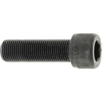 Surub - Rayco [11974164]