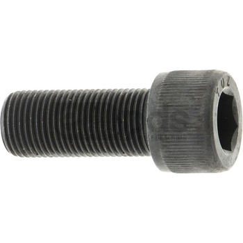 Surub - Rayco [11984416]