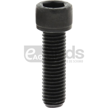 Surub - GRANIT [12541387]