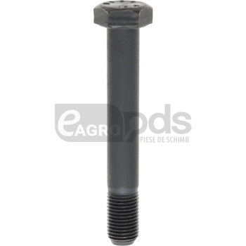 Surub - GRANIT [12556864]