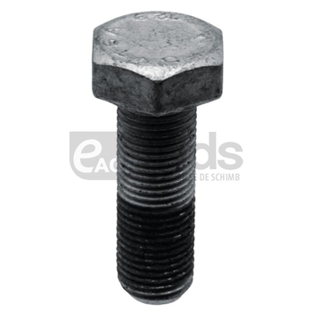 Surub - GRANIT [18001 DD491]