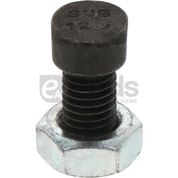 Surub pentru plug m10x25 12.9 - GRANIT [1801025VN]