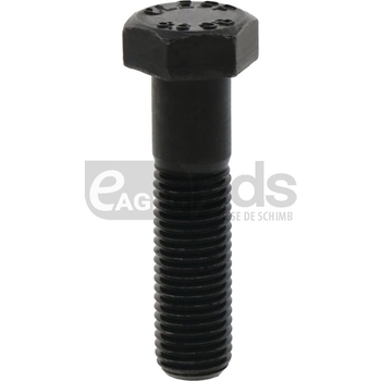 Surub - GRANIT [18016659318]