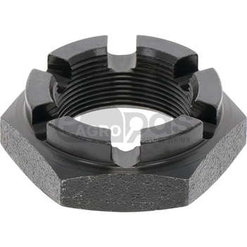 Piulita crenelata - GRANIT [1802200047]