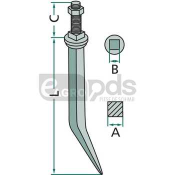 Dinte - GRANIT [1802523082]