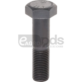 Surub hexagonal - GRANIT [18051-1455]
