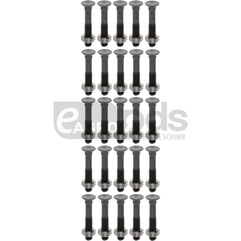 Surub pentru plug m10x60 din 608 - GRANIT [1871060810/25]