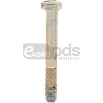 Barreto surub - Barreto [19296935]