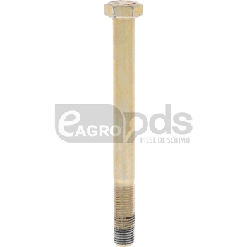 Barreto surub - Barreto [19315818]