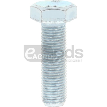 Surub - Mandam [19599617]