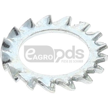 Saiba - Mandam [19605130]