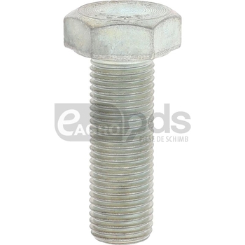 Surub - Mandam [19610813]