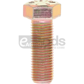 Surub - Barreto [19911724]