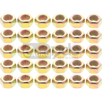 Piulita - Barreto [35905362]