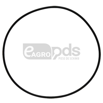 O ring - GRANIT [56031 00260180]