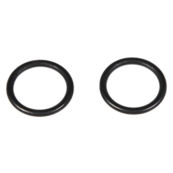 O-ring - CNH Industrial [87678125]