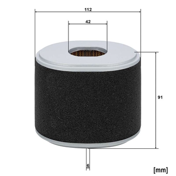 Filtru aer - MANN-FILTER [C 12 011]