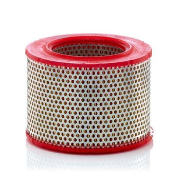 Filtru aer - MANN-FILTER [C 1555/6]