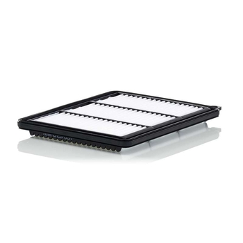 Filtru aer - MANN-FILTER [C 25 051]