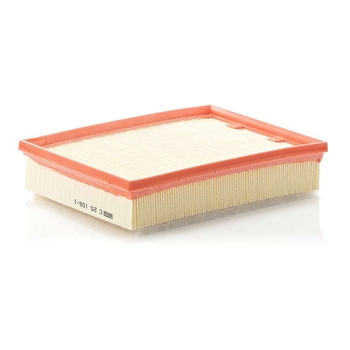 Filtru aer - MANN-FILTER [C 25 109/1]