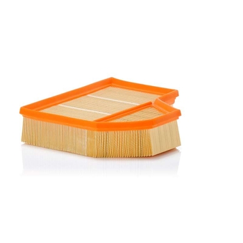 Filtru aer - MANN-FILTER [C 25 111]