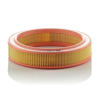 Filtru aer - MANN-FILTER [C 2534]