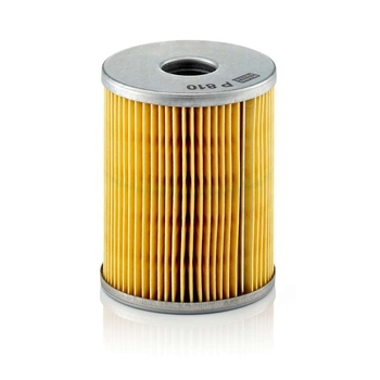 Filtru combustibil - MANN-FILTER [P 810 x]