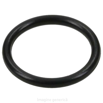 O-ring 17.12x2.62 fpm-80 - Kverneland [VN36107428]