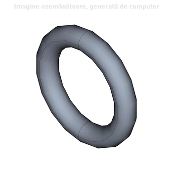 O-ring - CNH Industrial [14450581]