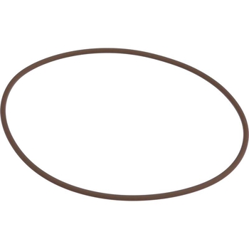 O-ring - CNH Industrial [14467281]