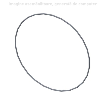 O-ring - CNH Industrial [14469180]