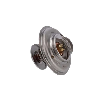 Termostat - CNH Industrial [162000060702]