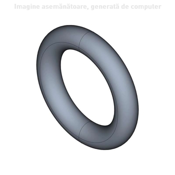 O-ring - CNH Industrial [17281381]