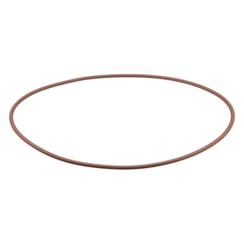 O-ring - CNH Industrial [17293681]