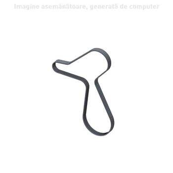 Curea trapezoidala - CNH Industrial [51541199]