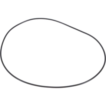 O-ring - CNH Industrial [84472119]