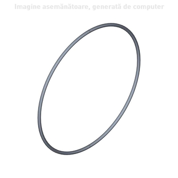 O-ring - CNH Industrial [86012300]