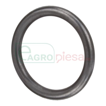 O-RING - CNH Industrial [4890926]