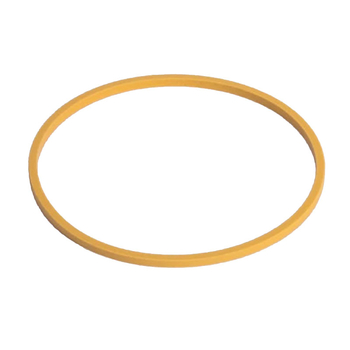 Inel etansare - ambreiaj priza putere - CNH Industrial [1995174C1]