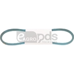 Curea - GRANIT [11011986]