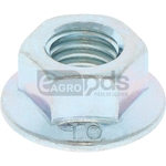 Piulita - GRANIT [11052251]