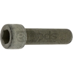 Surub - Vermeer [11559778]