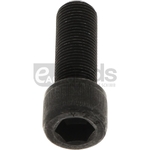 Surub - Vermeer [11736134]