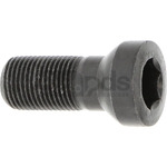 Surub - Greenteeth [12258187]