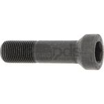 Surub - Greenteeth [12268109]